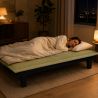 Canapé droit DENA convertible tissu vert 2 places